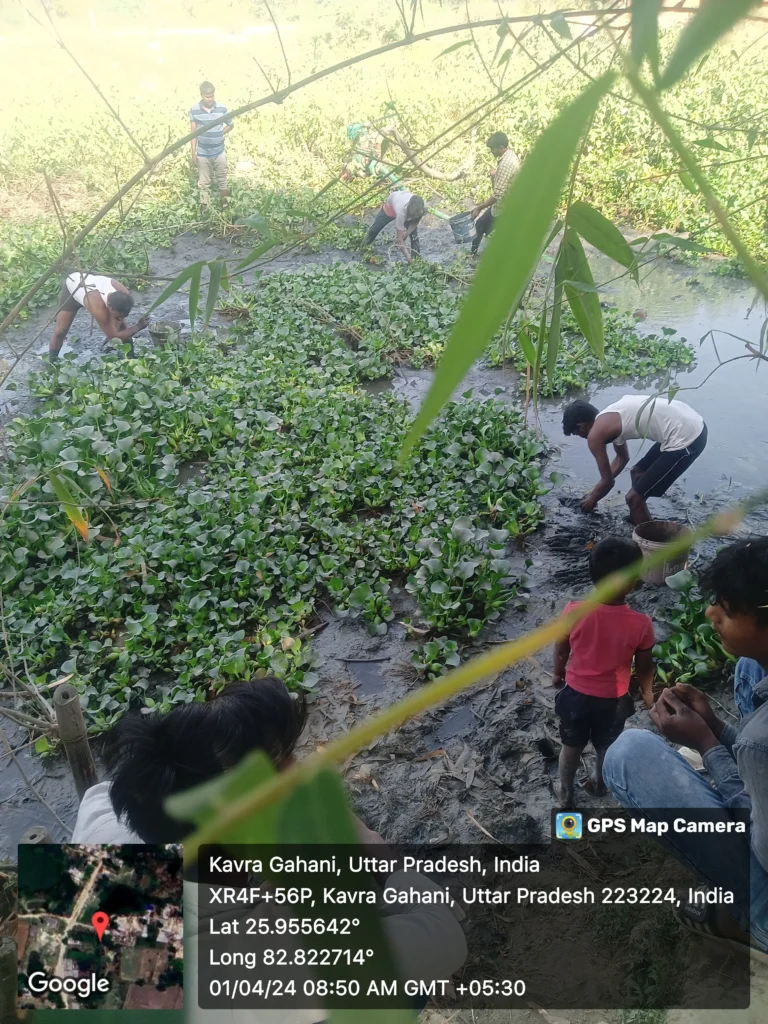 My journey: From Farming Fields to Digital Fields in 2025 15 Villagers removing water hyacinths from a pond in Kavra Gahani, Uttar Pradesh, as part of community-based integrated farming; GPS coordinates and map inset visible.