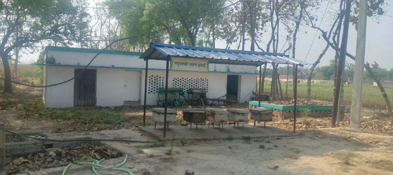 A small structure labeled "Madhumakhi Palan Ikai" (Beekeeping Unit) with several wooden beehive boxes arranged outside at KVK Varanasi.