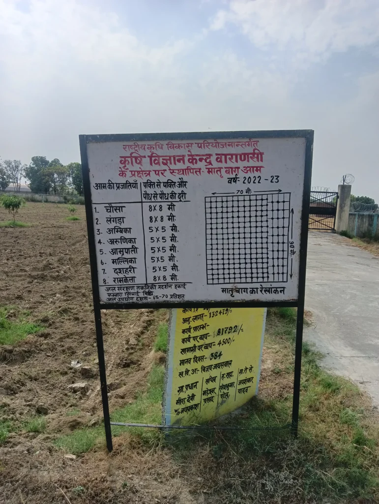 My journey: From Farming Fields to Digital Fields in 2025 12 Signboard showing the layout and spacing of various mango varieties planted in an organic demo plot at KVK Varanasi