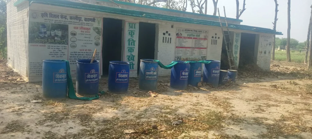 Organic farming inputs like Jeevamrut, Beejamrut, Dashparni Ark, and Nimastra in blue barrels at Krishi Vigyan Kendra Varanasi for natural soil health and pest control
