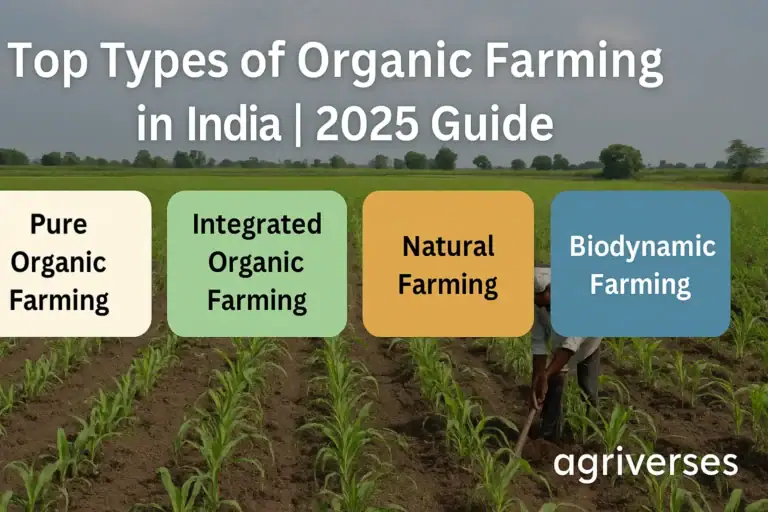 Indian farmer working on an organic farm showcasing types of organic farming in India like natural and integrated methods