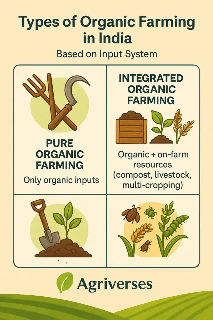 Top Types of Organic Farming in India | 2025 Guide 2 A colorful infographic by Agriverses showing types of organic farming in India based on input systems like pure organic, integrated organic, natural, and biodynamic farming.